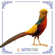 تخم نطفه دار قرقاول بلژیکی