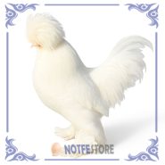 تخم نطفه دار مرغ سلطان